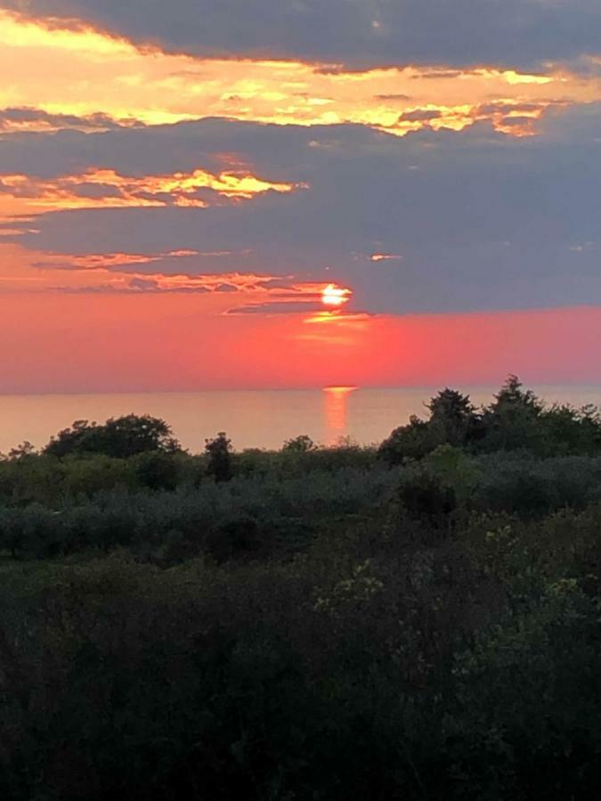 Fuchs Apartmán Umag